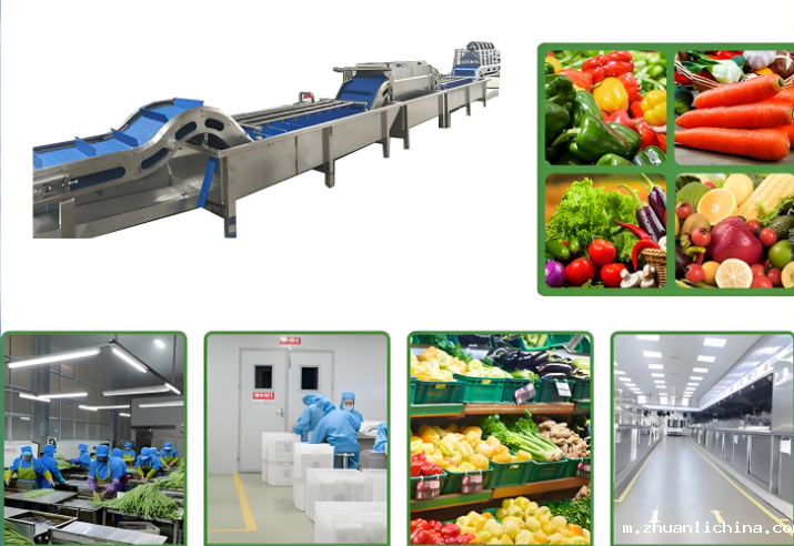 蔬菜沙拉生产线